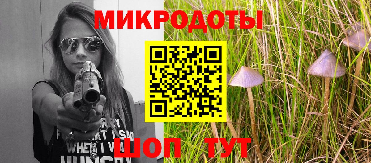Псилоцибиновые грибы прущие грибы Геленджик